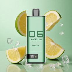 Lavie Cube 20000 Puffs Vienreizējās lietošanas Vape Piparmētru Ledus
