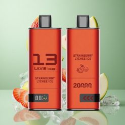 Lavie Cube 20000 Puffs Vienreizējais Vāpētājs Zemesņu Ledus